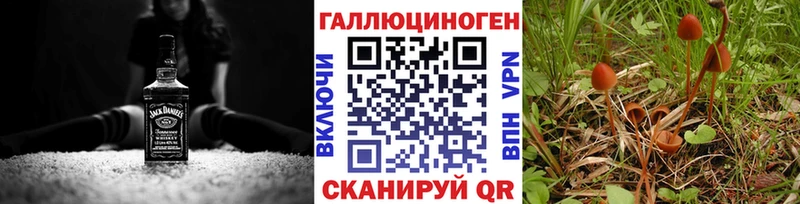 купить закладку  Покров  Галлюциногенные грибы прущие грибы 
